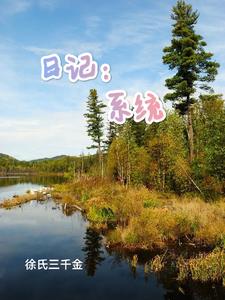 日记系统助我走向巅峰小说