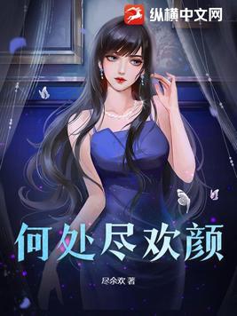 何处尽欢颜 小说