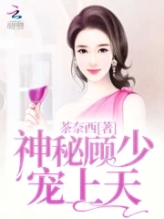 神秘顾少的掌上宝免费阅读