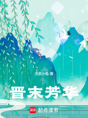 晋末芳华 无防盗