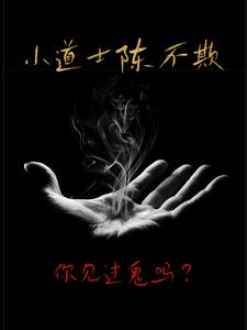 小道士陈不欺小说