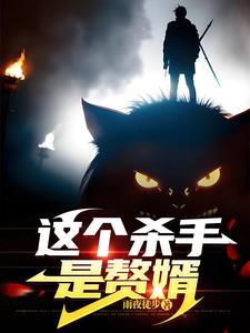 这个杀手是赘婿江浩小说免费阅读
