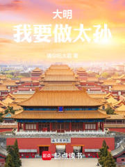 大明我要做太孙免费阅读