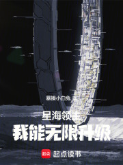 星海领主封二修改
