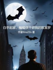 白手起家,蝙蝠侠干碎我的致富梦免费