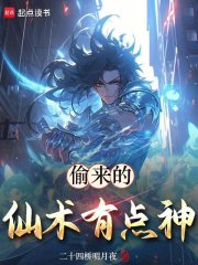 偷来的仙术有点神小说