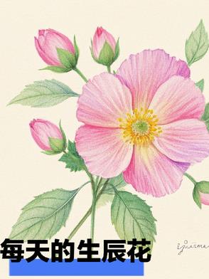 生辰花日期
