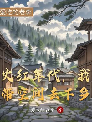 火红年代,我带空间去下乡的小说