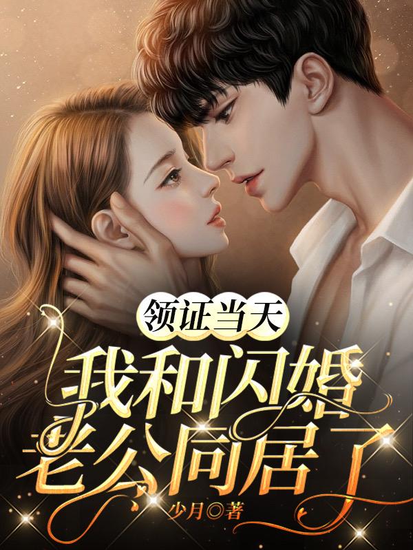 领证当天我和闪婚老公同居了,冷若颜