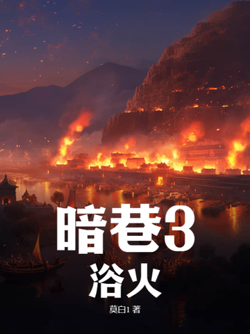 暗巷3:浴火小说
