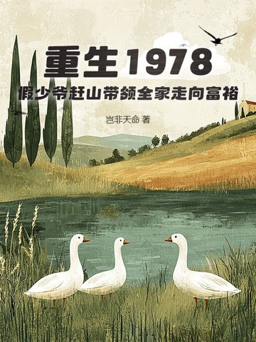 重生1978年