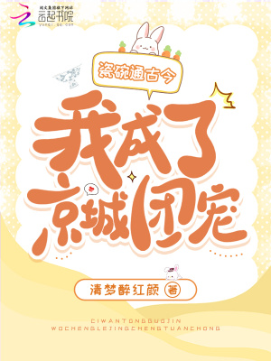 瓷碗百度百科