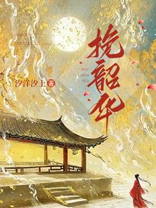 红楼之挽韶华