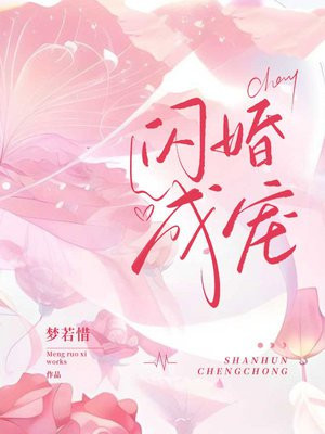 闪婚成宠:当前男友的婶婶