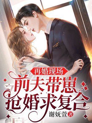 前夫再婚小说