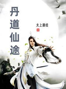 丹道仙途TXT百度网盘