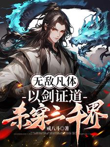 无敌剑体决小说