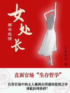 陈放小说都市危情