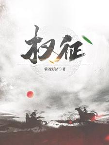 权征皖城