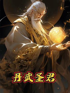 丹武圣君小说