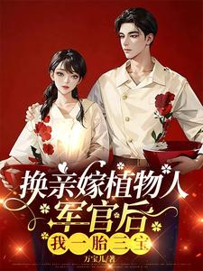 军人军嫂小说