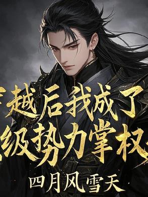 穿越后我成了顶级势力掌权人小说