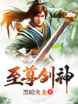 至尊剑神TXT下载黑暗火龙