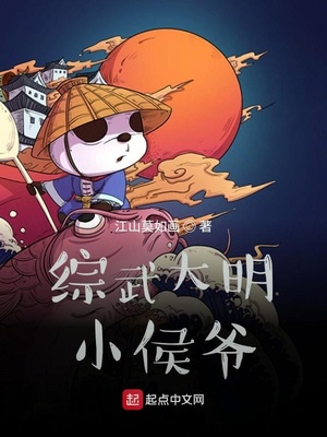 大明武侯小说