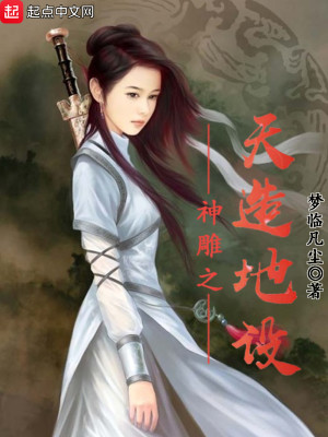 神雕之神级选择