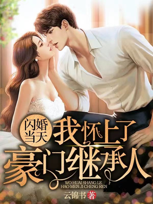 闪婚当天,我怀上了豪门继承人