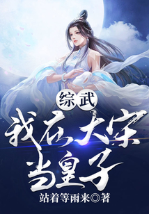 我在大宋当大官