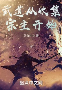 武道从收集宗主开始伏白斗