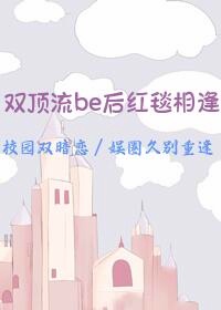 双顶流是什么意思饭圈