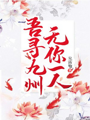 吾寻九州,无你一人百度云