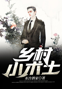 乡村小术士免费