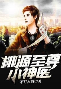 桃源小神医全本 小说