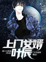 上门女婿叶辰是什么小说