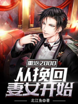 重返2000:从挽回妻女开始 小说