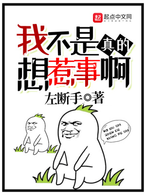我不是真得想惹事