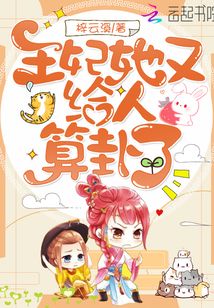 王妃她又给人算卦了TXT