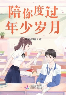 陪你度过年少岁月小说