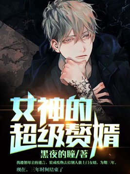 女神的超级赘婿林阳免费阅读