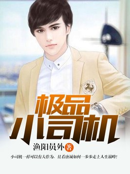 极品小司机好看吗