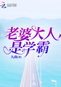 老婆大人是80后电视剧免费观看