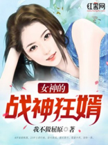 女神的战神狂婿小说