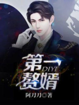 第一赘婿免费观看完整版