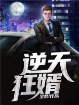 逆天狂婿龙王殿