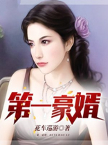 第一豪婿黑夜的瞳小说