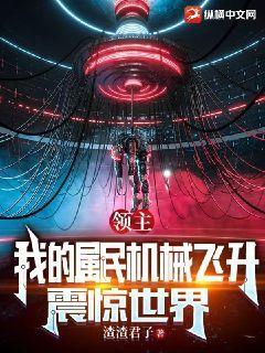 领主我的属民机械飞升震惊世界下载