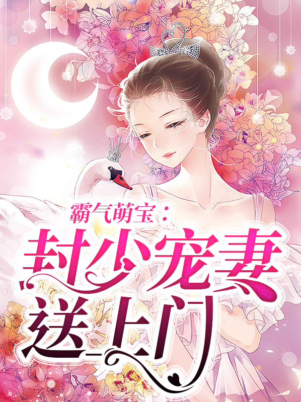 霸气萌宝封少宠妻送上门小说